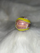 Load image into Gallery viewer, Custom Softballs
